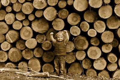 Full frame shot of logs in forest