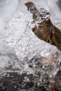 Close-up of frozen water on land