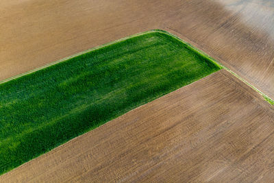 High angle view of green field