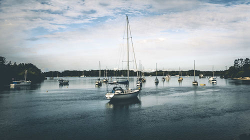 Sailboats moored in harbor against sky