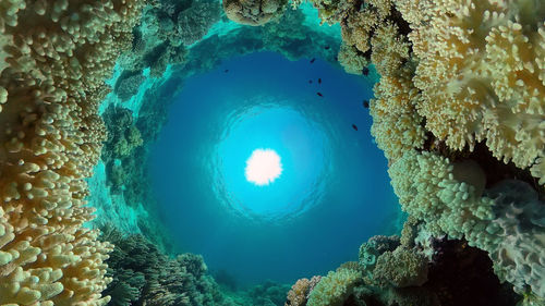 sea