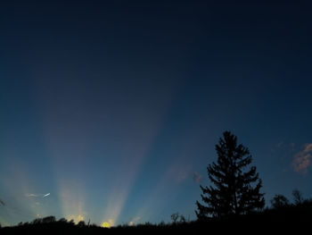 Silhouette trees against sky at night