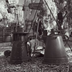 Trees in yard