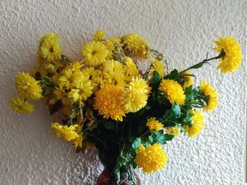 Close-up of yellow flowers