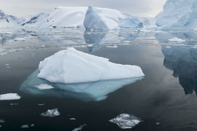 Landscape reflections and floating iceberg in still waters, antarctica.