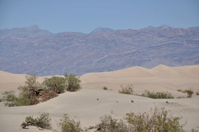 Scenic view of landscape and mountains against clear sky