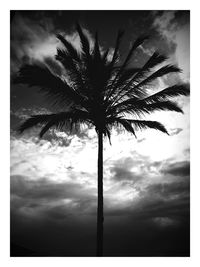 Low angle view of palm trees against cloudy sky