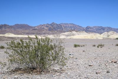 Scenic view of landscape against clear blue sky