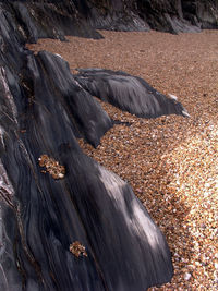 High angle view of rock on land