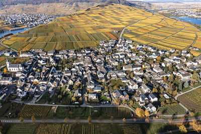 Germany, rhineland-palatinate, minheim, aerial view of rural town lying on river moselle with autumn fields in background