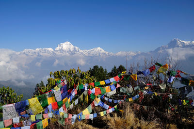 Multi colored flags on mountain against clear sky