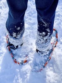 Low section of person on snowcapped mountain