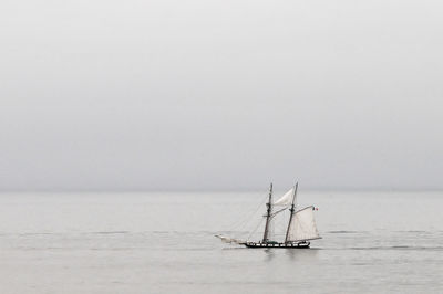 Sailboat sailing in sea against clear sky