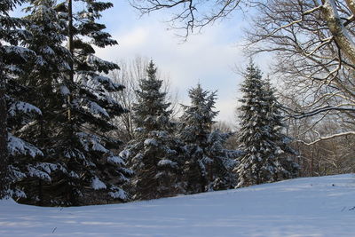 Scenic view of snow covered landscape