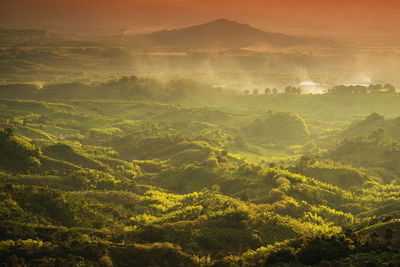 High angle view of landscape