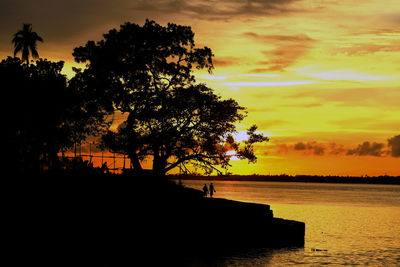 Silhouette tree by sea against orange sky