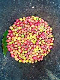 High angle view of multi colored fruits on rock