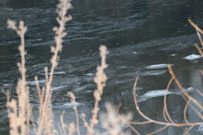 High angle view of frozen lake