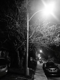 Road passing through illuminated park at night