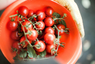 Directly above shot of tomatoes in bowl