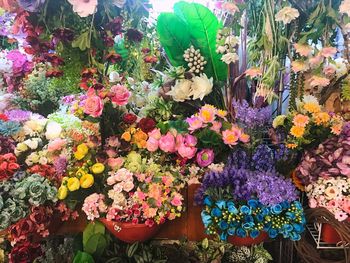 View of flowering plants at market stall