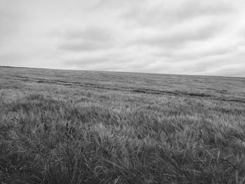 Scenic view of grassy field against cloudy sky