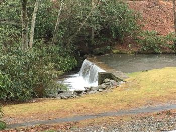 Scenic view of waterfall in forest