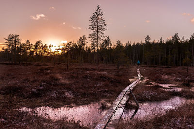 Scenic view of landscape at sunset