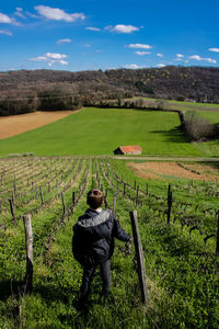 Rear view of boy standing at vineyard