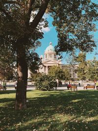 Trees in park with building in background