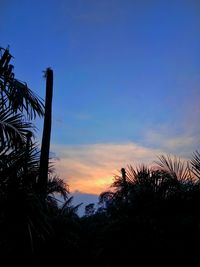 Low angle view of silhouette palm trees against sky during sunset