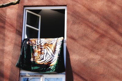 Low angle view of window of house