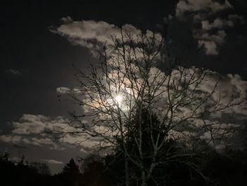 Low angle view of silhouette tree against sky at night