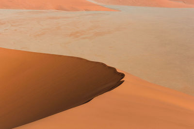 Scenic view of sand dunes in desert