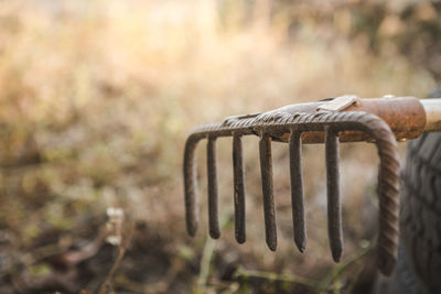 Close-up of rope hanging on metal field