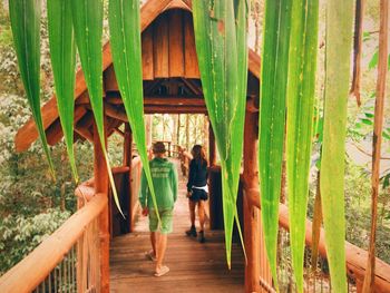 Rear view of man and woman walking on boardwalk