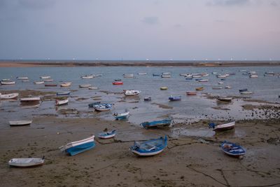 Scenic view of sea