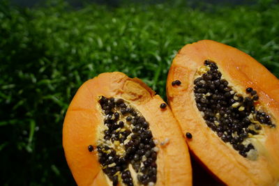 Close-up of orange slice