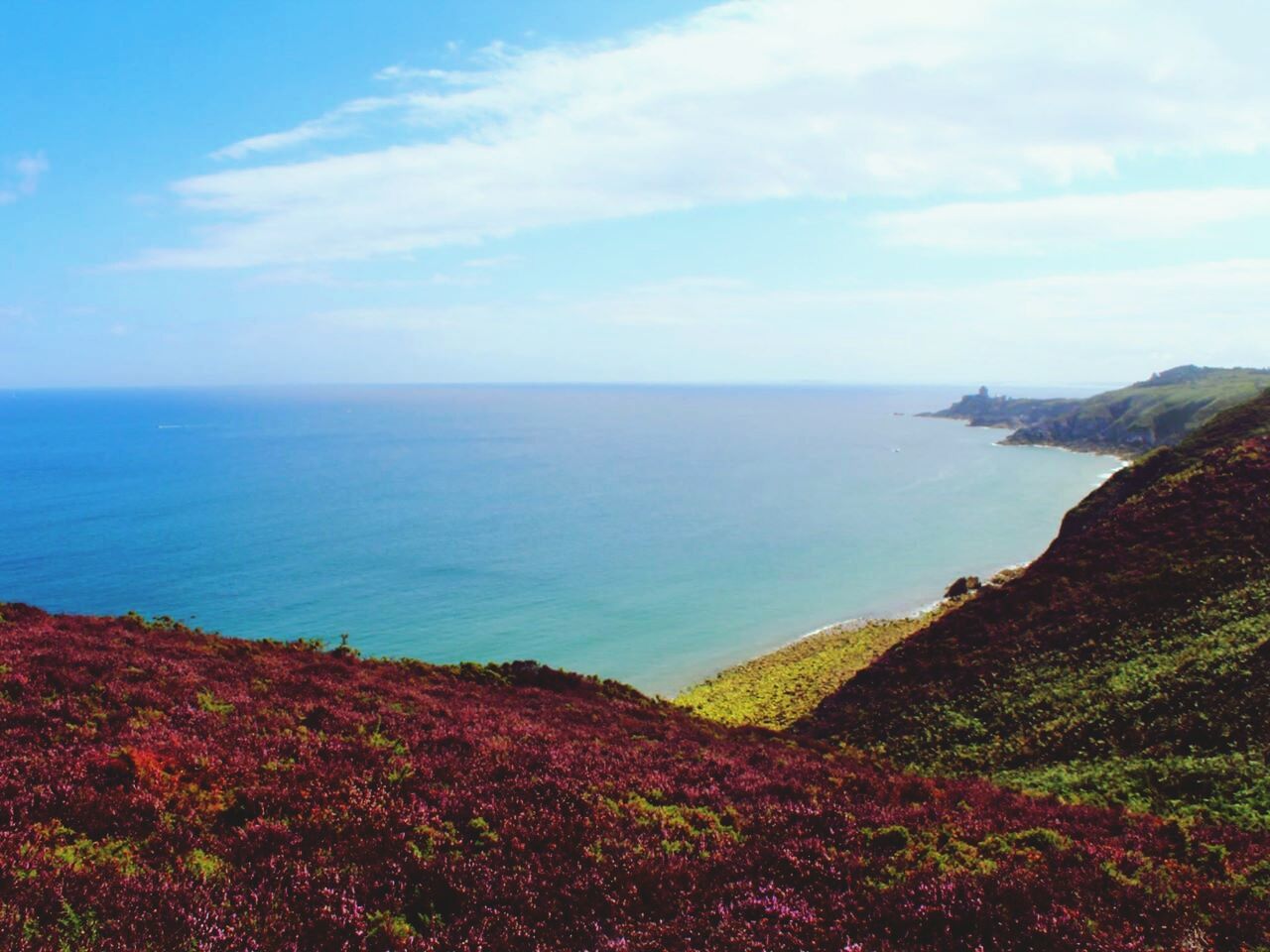 sea, horizon over water, tranquil scene, scenics, water, beauty in nature, tranquility, sky, nature, idyllic, blue, coastline, cloud - sky, high angle view, beach, shore, grass, cloud, day, plant