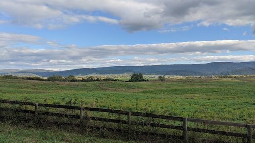 Scenic view of field against sky