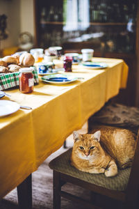 High angle view of cat sitting on chair by dining table at home