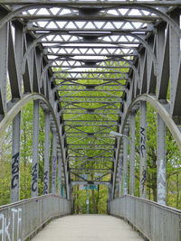 Bridge in greenhouse