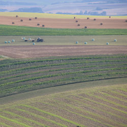 Scenic view of agricultural field