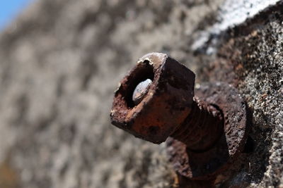 Close-up of rusty machine part