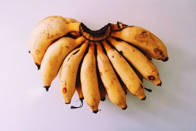 Close-up of fruit against white background