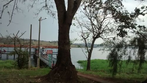 Trees on field by lake against sky