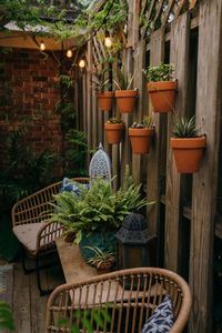 Potted plants in basket