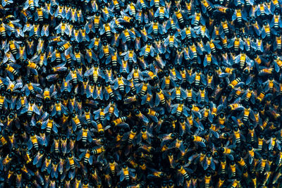Full frame background of large group of wild black and yellow bees collected together in swarm