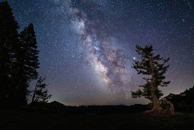 Silhouette trees against sky at night