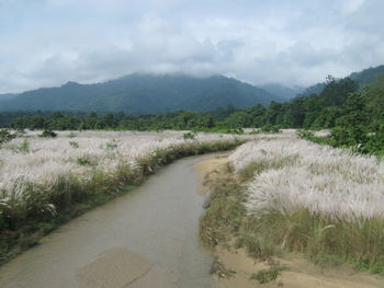 Scenic view of landscape against sky